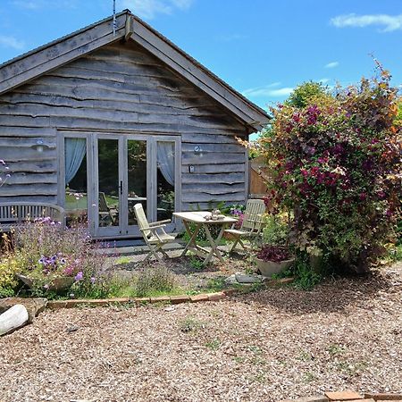 Three Oaks Nursery Chichester Bagian luar foto