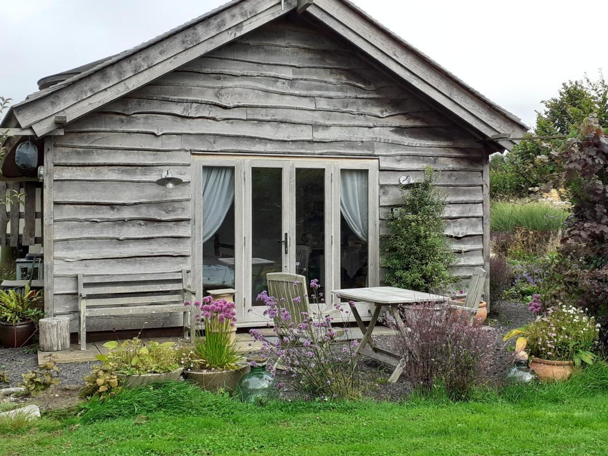 Three Oaks Nursery Chichester Bagian luar foto
