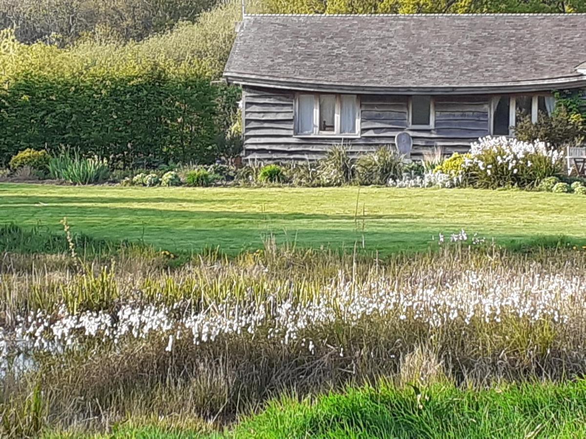 Three Oaks Nursery Chichester Bagian luar foto
